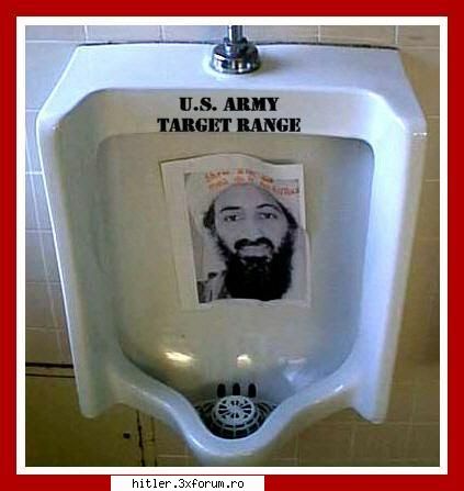 funny americanii astia