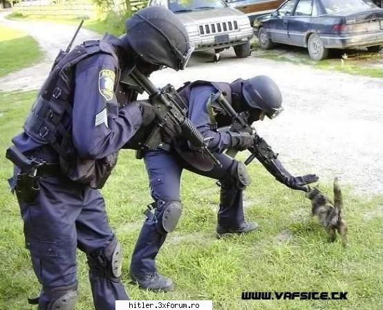 funny s.w.a.t actiune