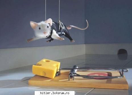 funny splinter cell soareci