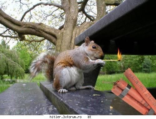 funny the bomb has been planted!!!