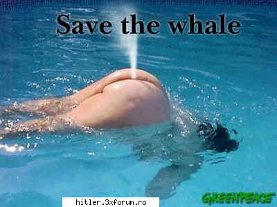 tot rasu salvati balenele
