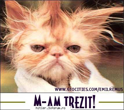 tot rasu m-am trezit