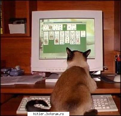 De tot rasu - Solitare careva - .::Download Foto::.