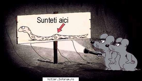 :razz: de tot rasu