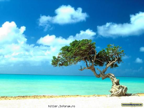 Wallpapers - ~~~~~~~~~~~~~~~~~~~~~~~~~~~~~~~~~~~~~~~~~~~~~~~~~~ - .::Download Foto::.